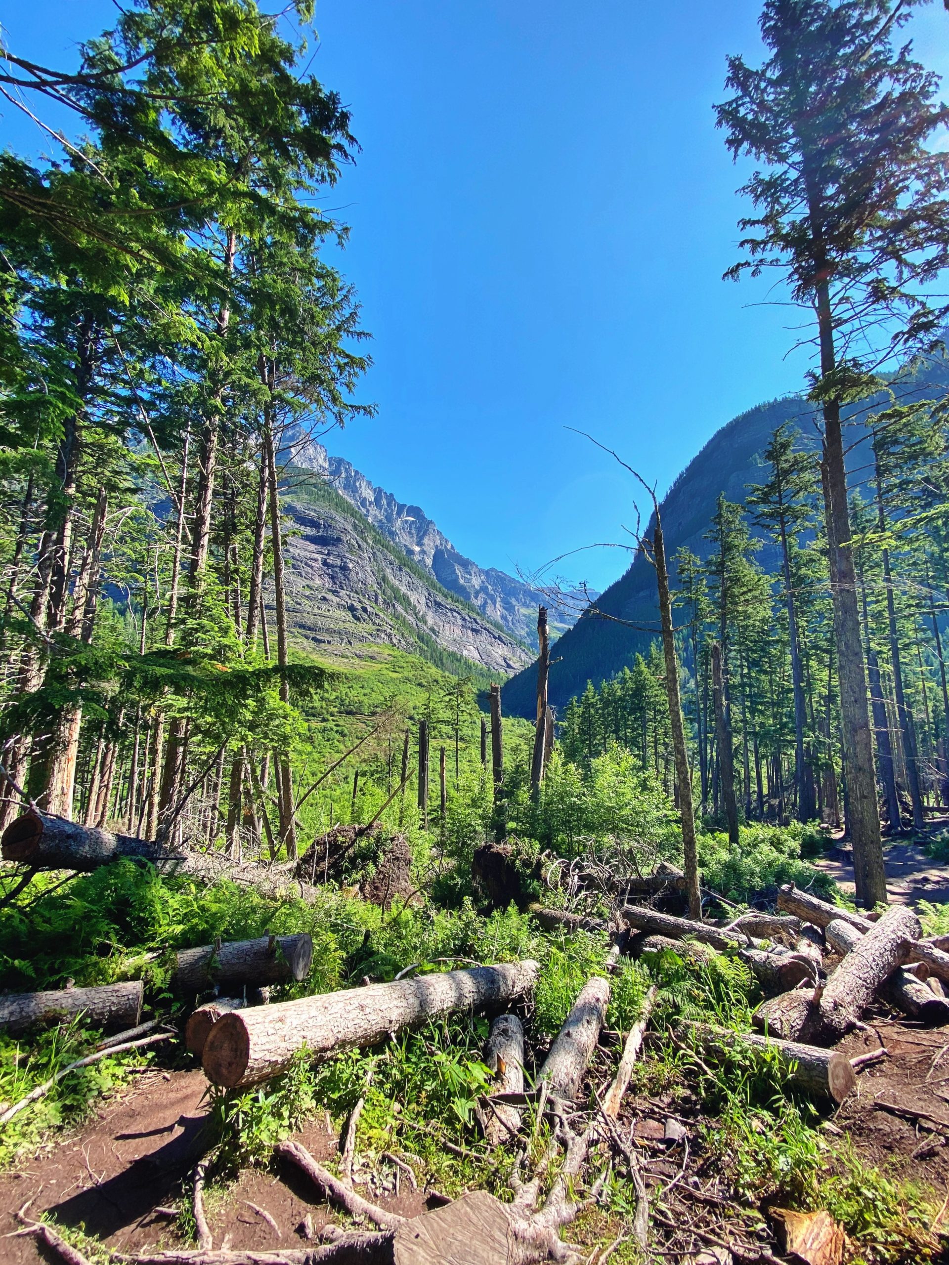 montana-glacier-mountain-avalanche-lake-boy-girl-engagement-nature-beautiful