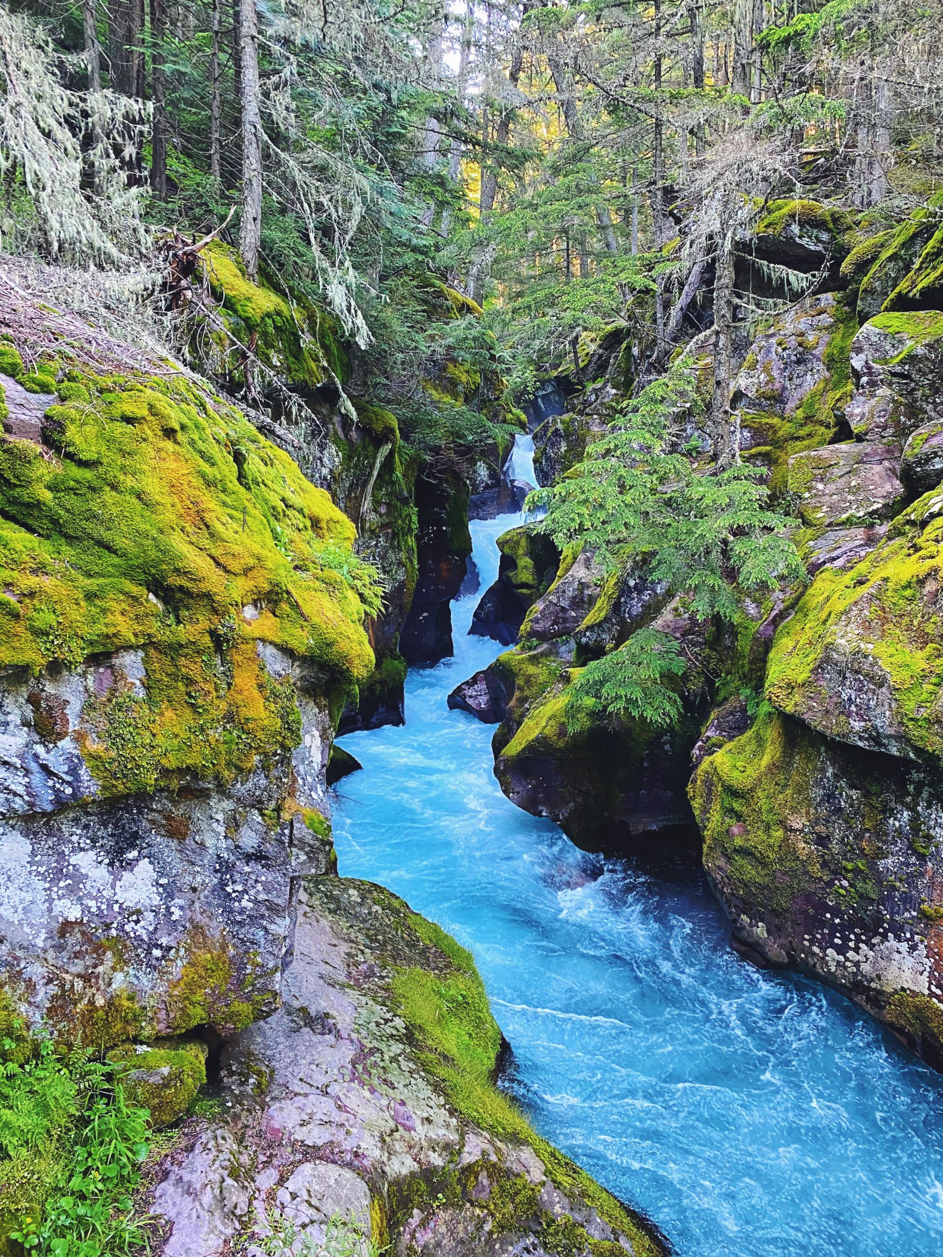 montana-glacier-mountain-avalanche-lake-boy-girl-engagement-nature-beautiful