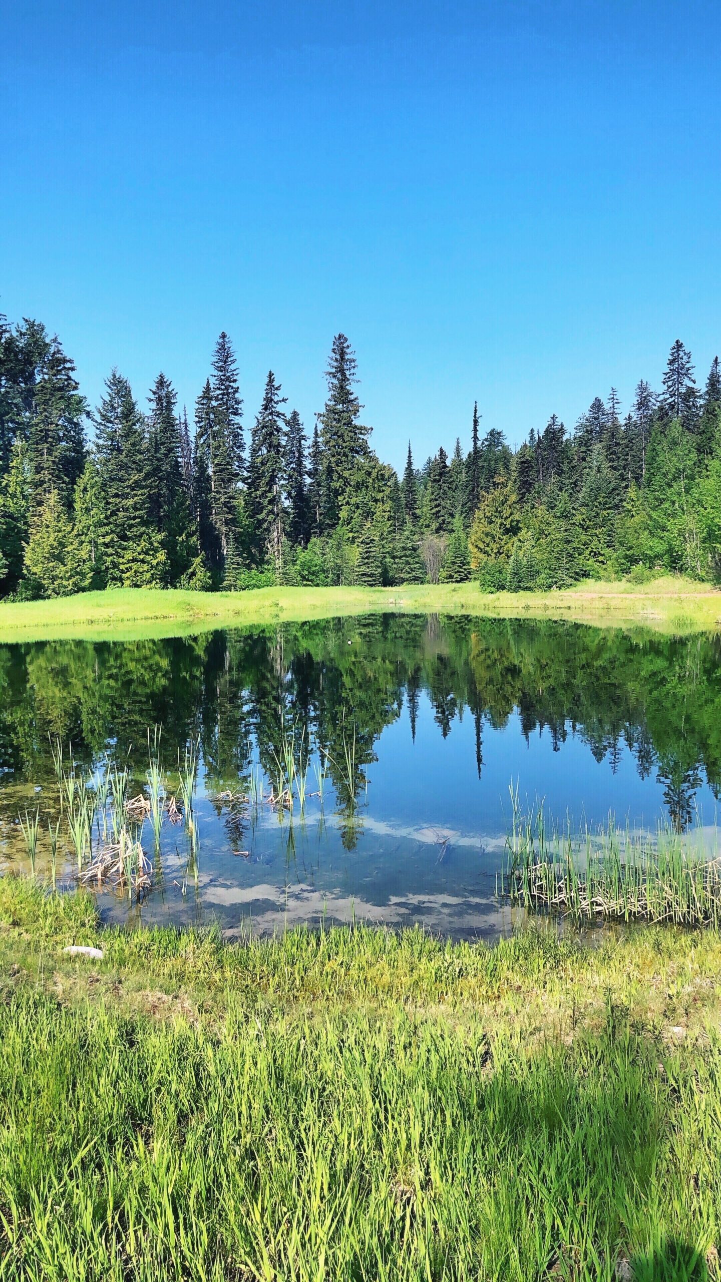 montana-glacier-mountain-avalanche-lake-boy-girl-engagement-nature-beautiful