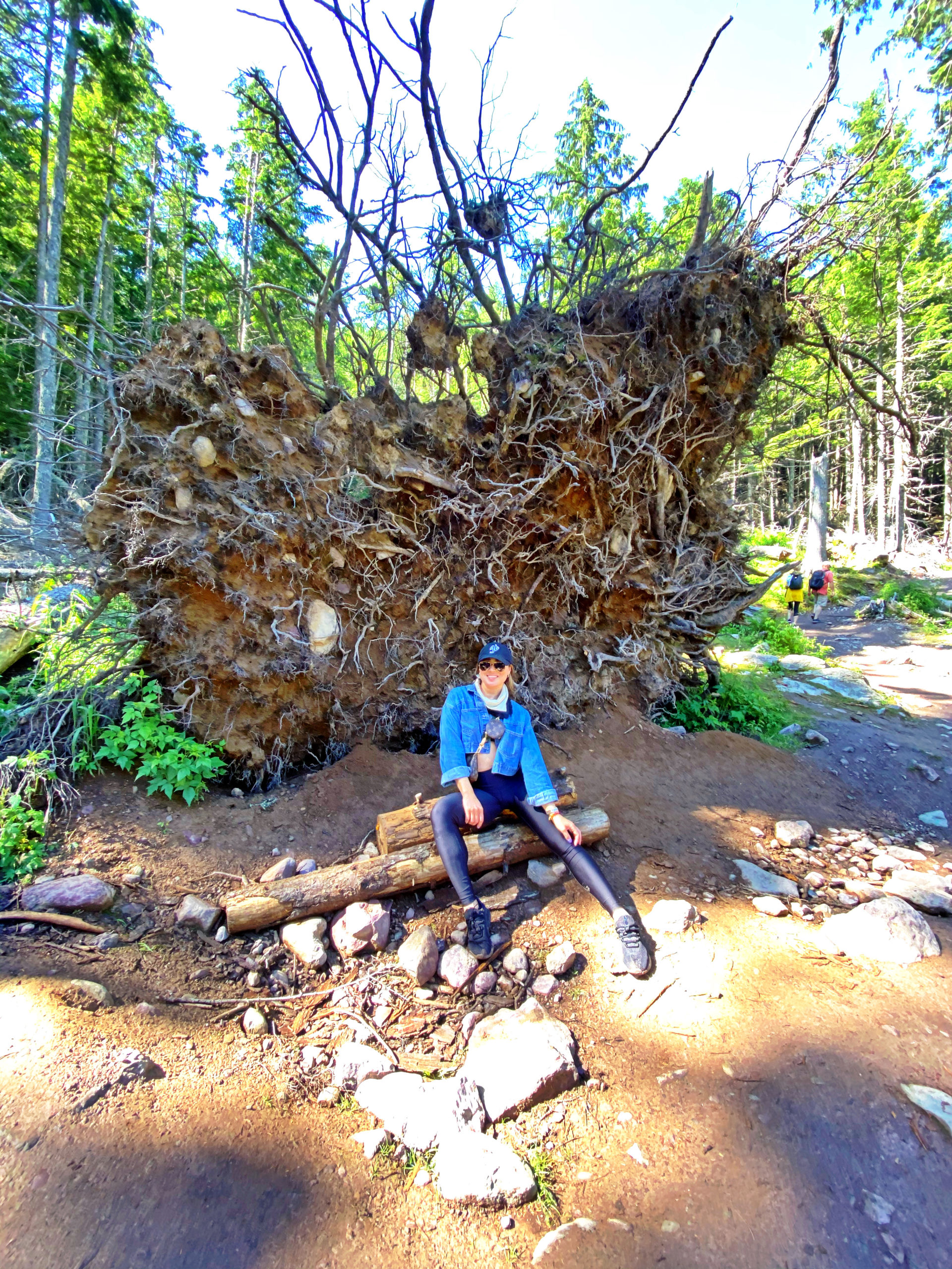 montana-glacier-mountain-avalanche-lake-boy-girl-engagement-nature-beautiful